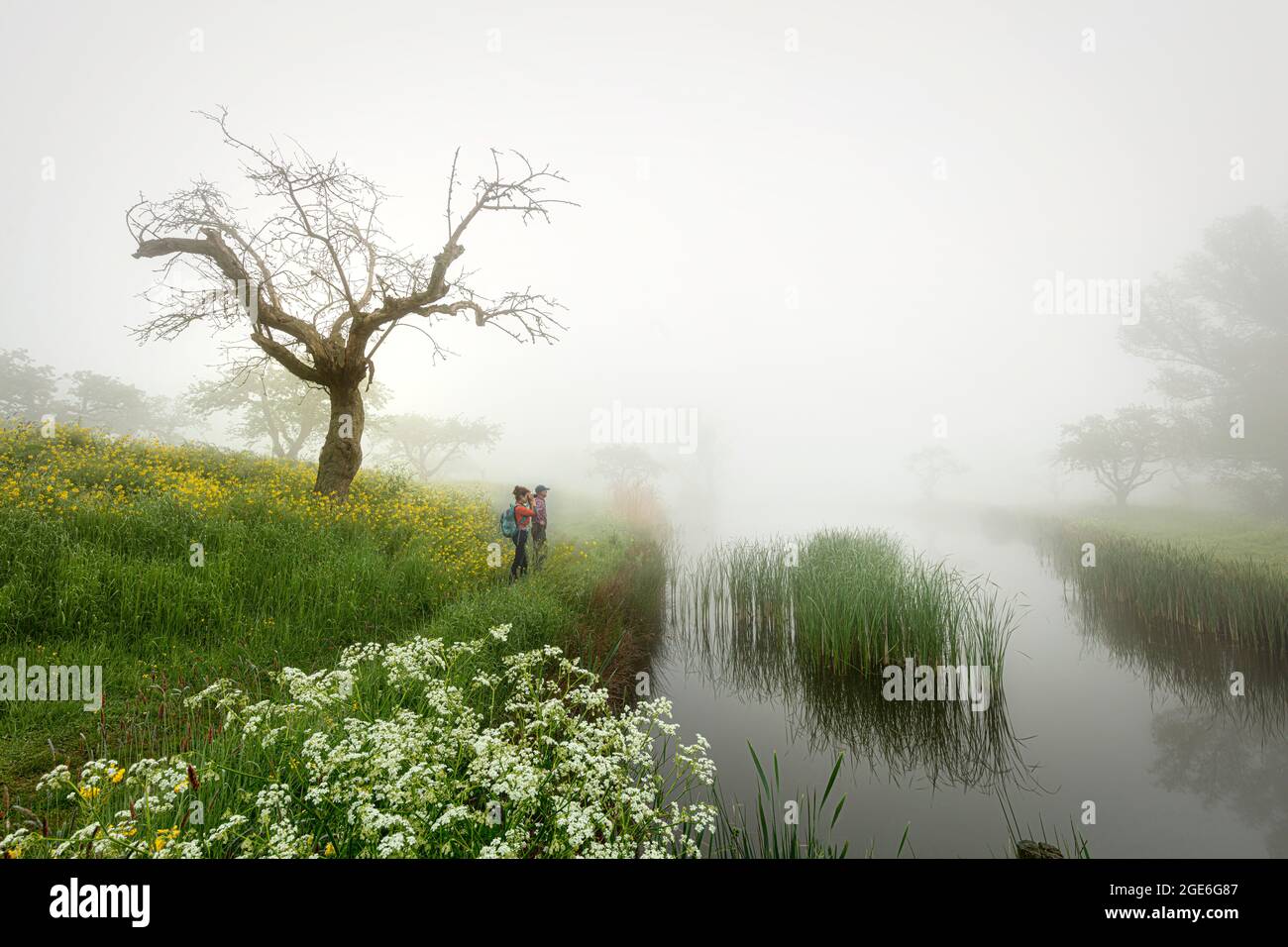 Niederlande, Schalkwijk, Werk aan de Groeneweg, Teil der Neuen Niederländischen Wasserlinie. Unesco-Weltkulturerbe. Niederländische Wasserschutzlinien. Gräben A Stockfoto