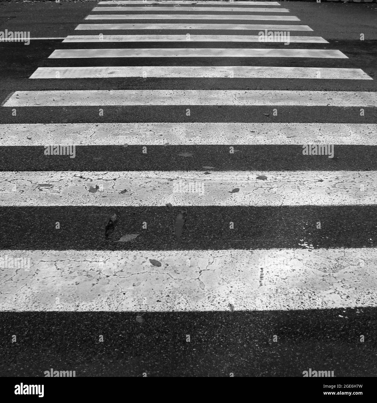 Fußgängerüberweg in der Stadt. Weiße Streifen auf dem Asphalt. Übergang ohne Menschen Stockfoto