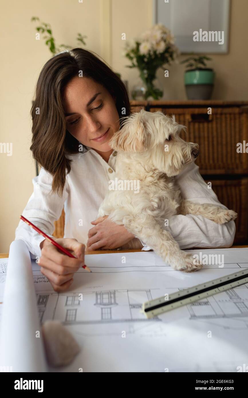 Kaukasische Architektin im Wohnzimmer mit ihrem Hund, sitzt am Tisch arbeiten, Zeichnung Pläne Stockfoto