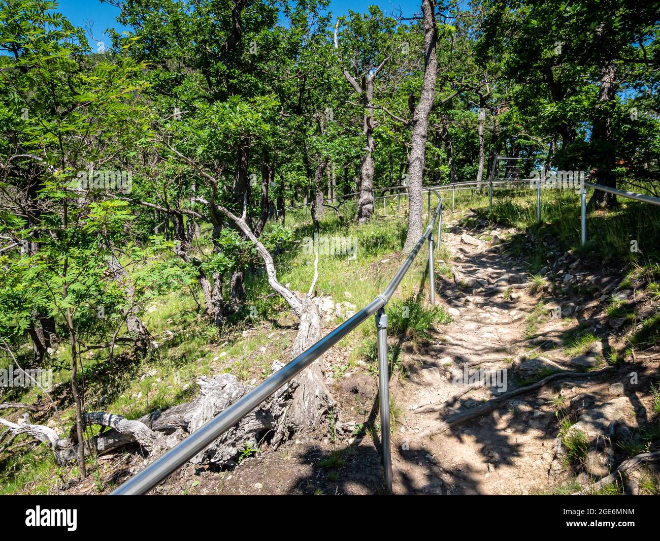 Wandern im Nationalpark Harz Stockfoto