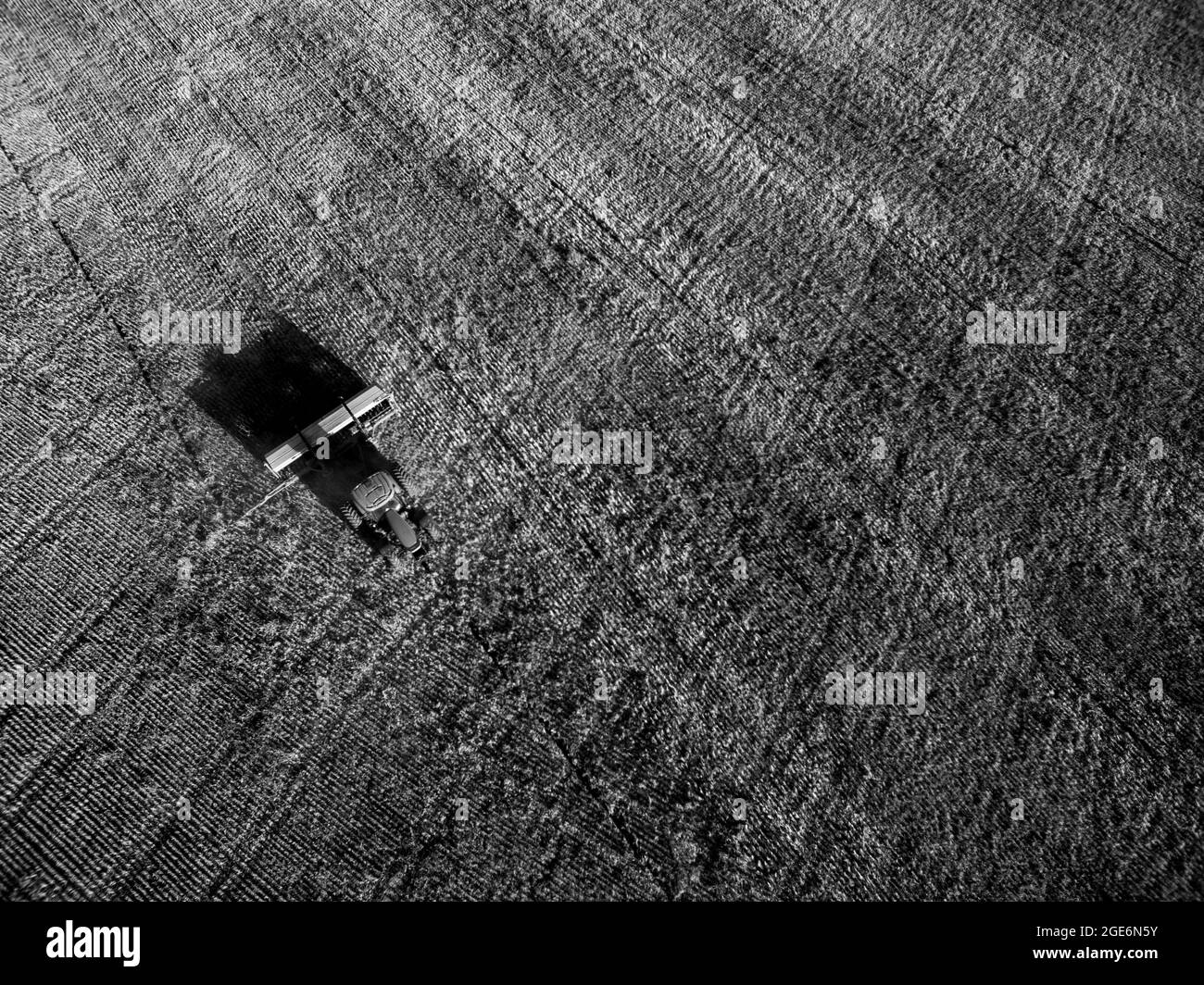 Traktor säen Getreide in der argentinischen Landschaft, Provinz Buenos Aires, Argentinien. Stockfoto