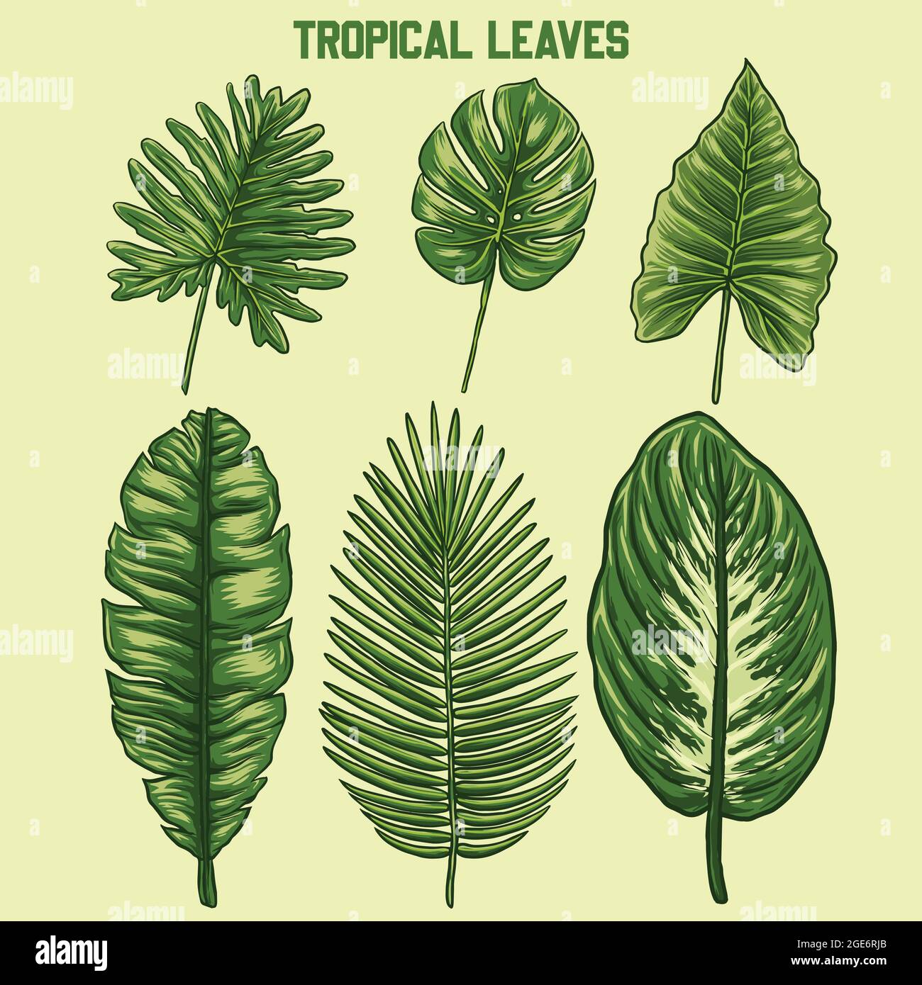 Einige Vektor-tropische Leaft-Designs Stock Vektor