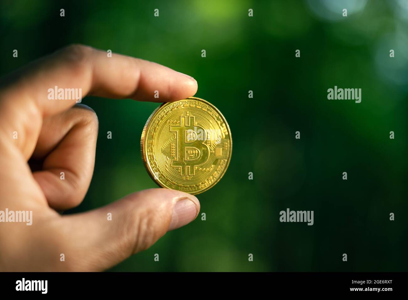 Goldene Bitcoin-Münze in Menschenhand im Sommerwald. Umweltfreundliches Kryptowährungskonzept Stockfoto