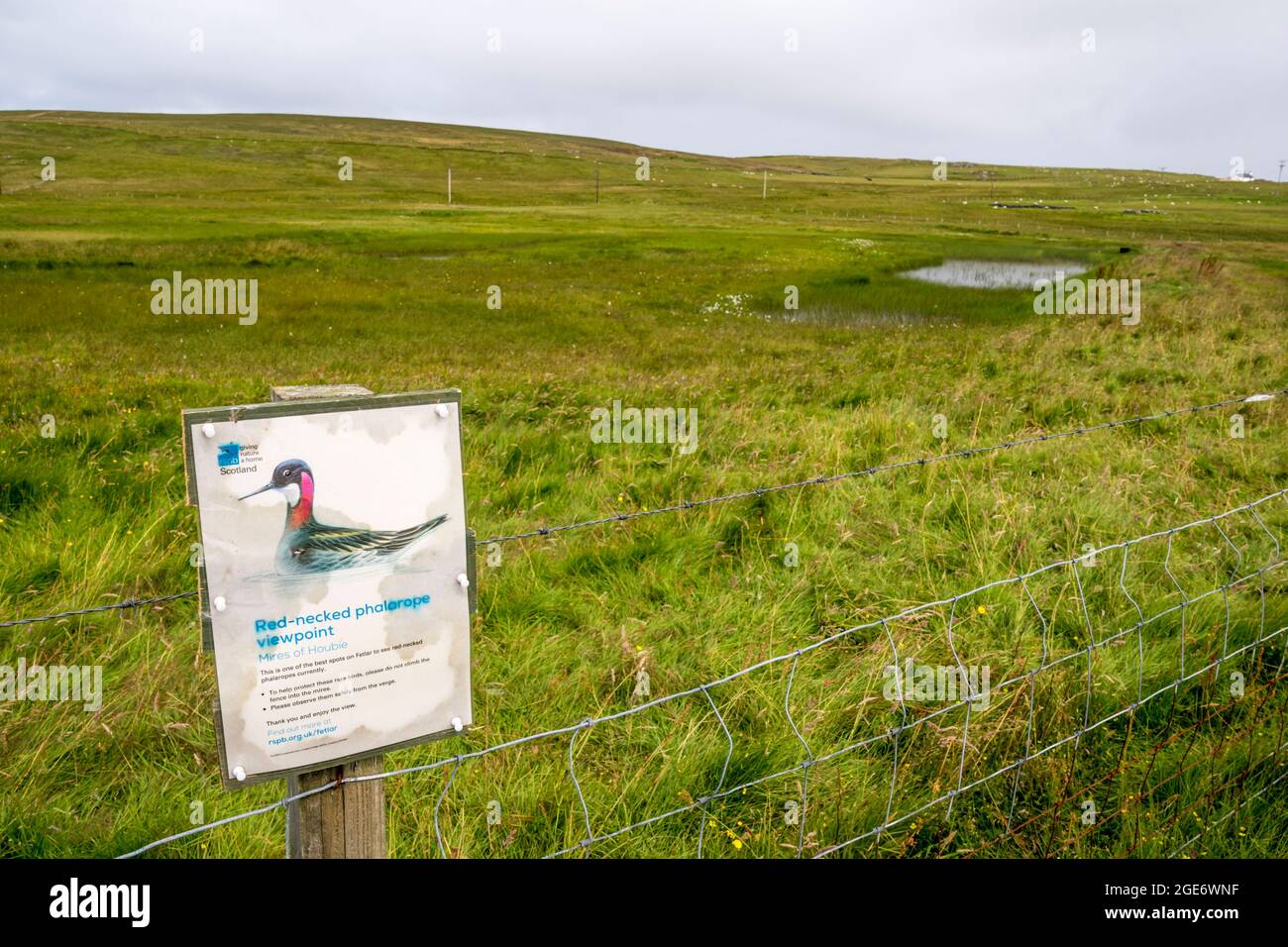 Schild für einen rothalsigen Phalarope-Aussichtspunkt am Mires of Houbie auf der Insel Fetlar, Shetland. Stockfoto