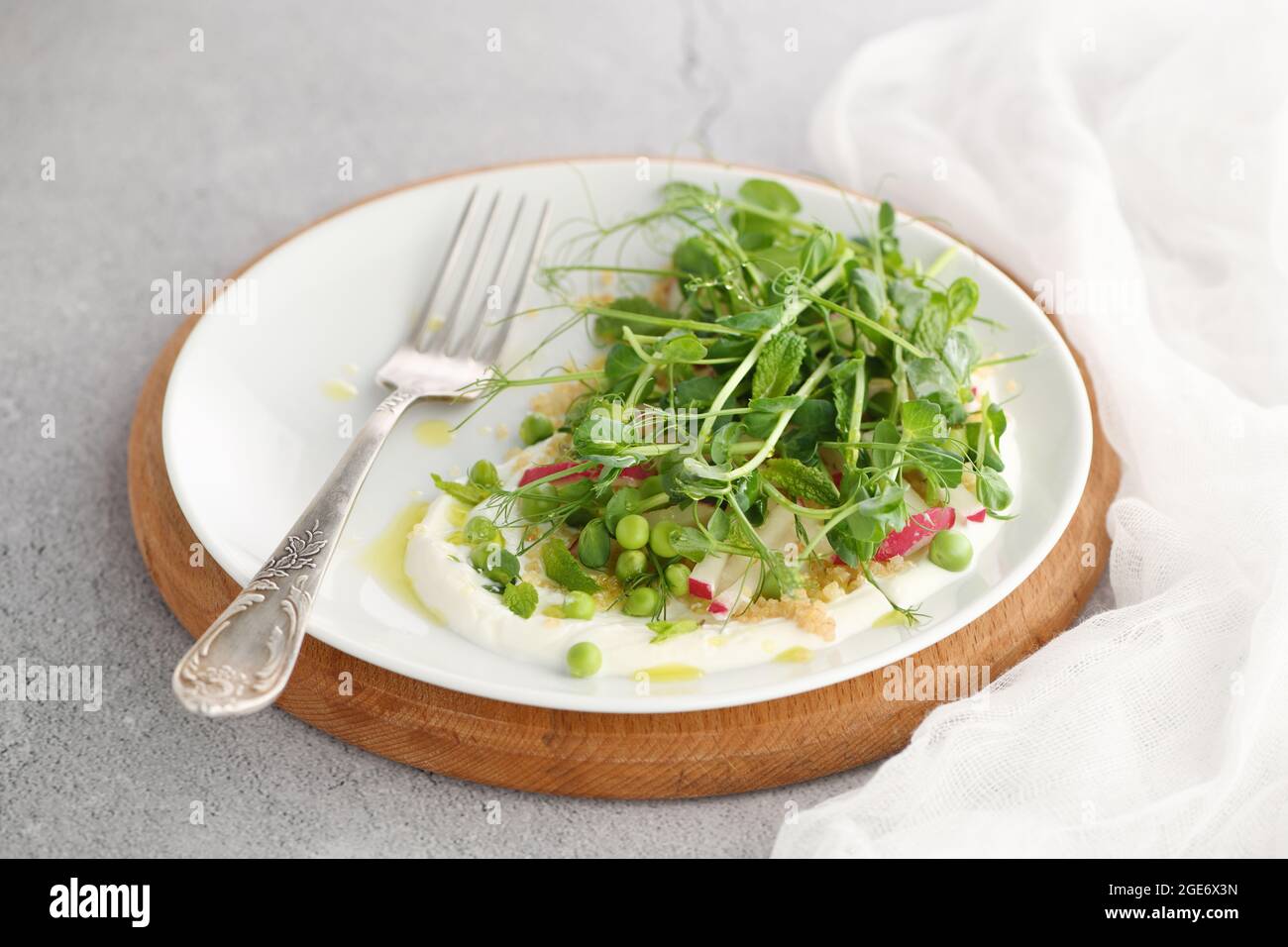 Vegan gesunder Salat aus mikrogrünen Sprossen Erbsen, Quinoa, Rettich, Minze und Joghurt Stockfoto