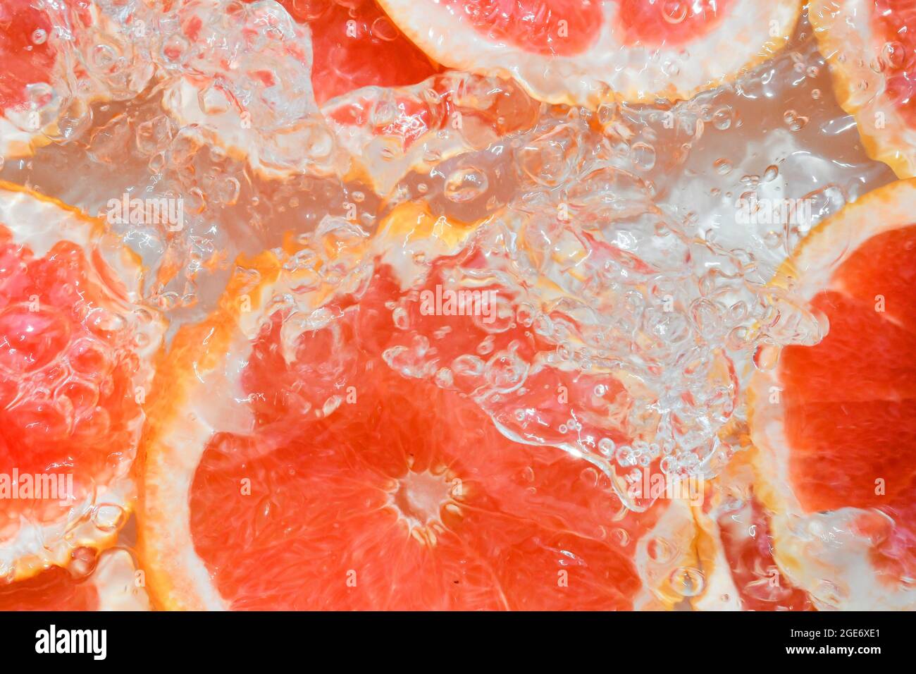 Grapefruitscheiben in Wasser auf weißem Hintergrund. Grapefruit Nahaufnahme in Flüssigkeit mit Blasen. Scheiben blutroter reifer Grapefruit in Wasser. Makro Stockfoto