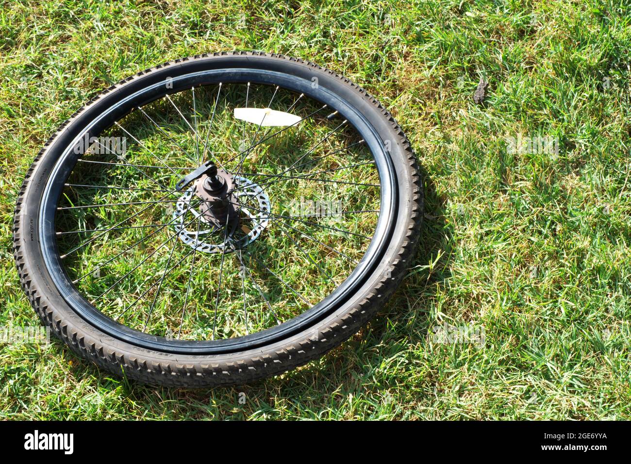 Mountainbike-Reifen mit Bremsscheibe im Freien auf Gras Stockfoto