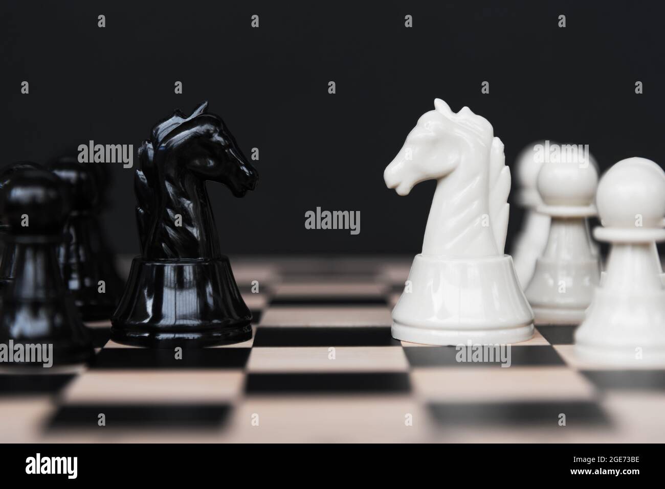 Competition - Ritterkönigschach auf schwarzem Hintergrund Stockfoto