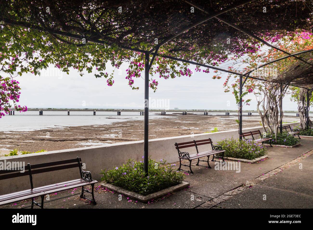 Cinta Costera Viadukt umkreist das historische Viertel Casco Antiguo von Panama City Stockfoto