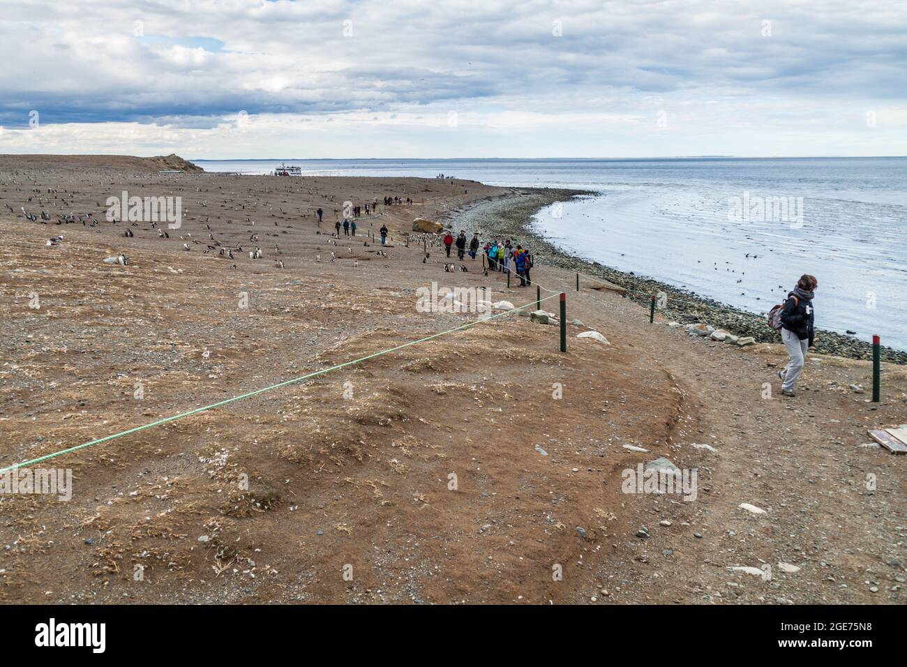 ISLA MAGDALENA, CHILE - 4. MÄRZ 2015: Touristen besuchen Pinguine in der Pinguinkolonie auf der Insel Isla Magdalena in der Magellan-Straße, Chile Stockfoto