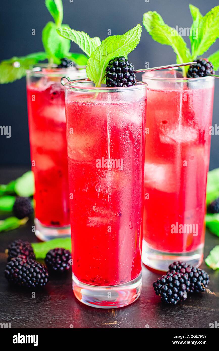 BlackBerry Mojito Cocktails in hohen Gläsern: Mojitos aus Minze, Brombeeren und Rum, serviert auf Eis mit Garnierungen Stockfoto