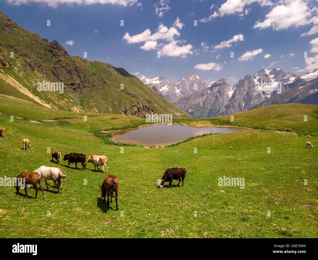 Georgia Drohnen Ansichten Stockfoto