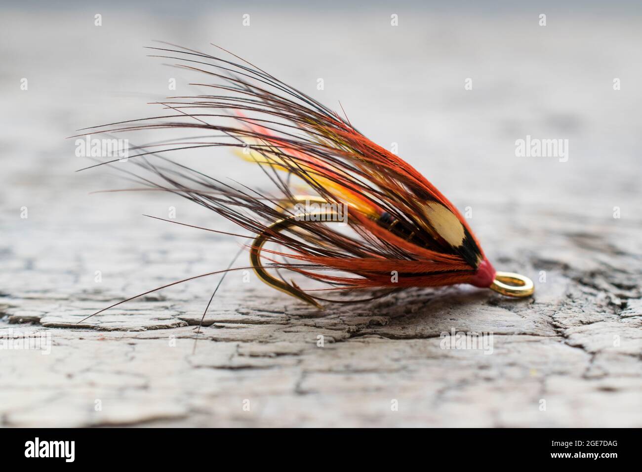 Glänzende Lachsfischfliege mit gelbem Blitz auf einer Holzoberfläche Stockfoto