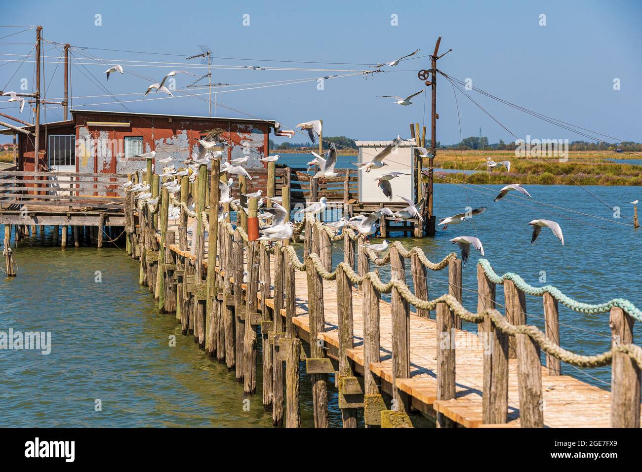 Italien Emilia Romagna - Valli di Comacchio - Dintorni di Foce Stockfoto