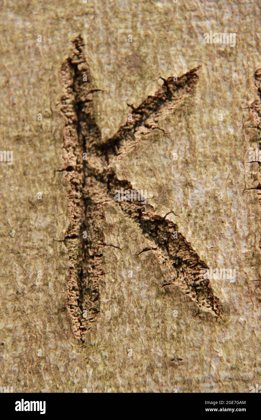 K Buchstabe zerkratzt in die Rinde eines Baumes Stockfoto