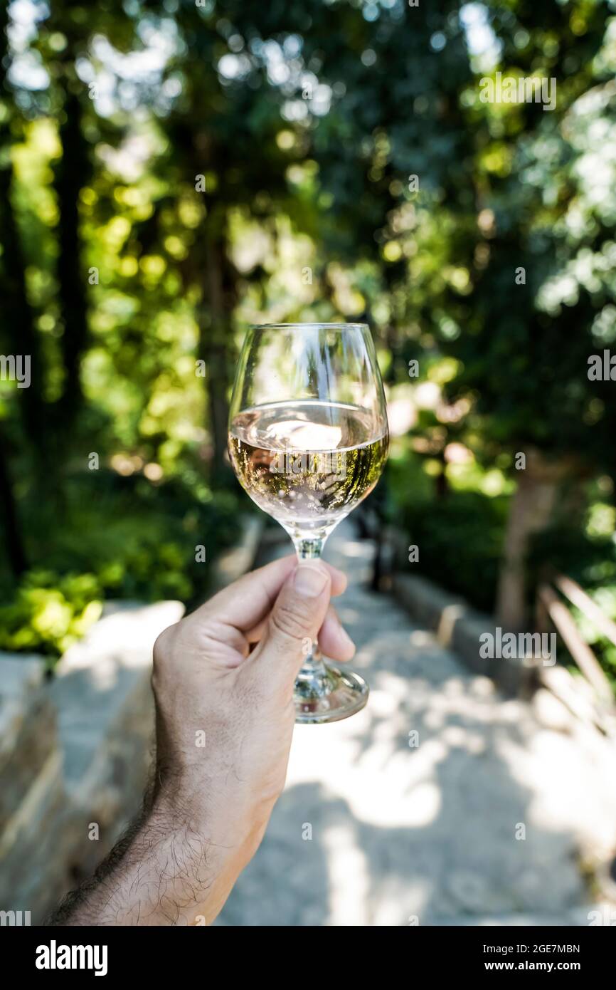 Ein Glas Wein in der Hand vor dem Hintergrund der sommerlichen Weinberge. Hausgemachter Rotwein aus der Sommerernte. Hochwertige Fotos Stockfoto