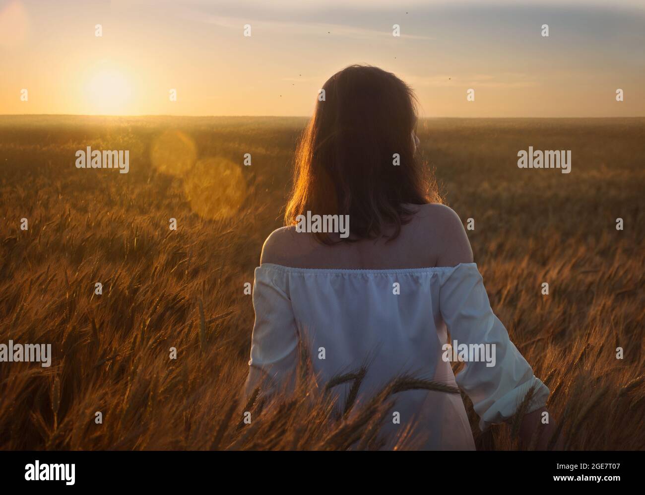 Die junge Frau geht abends auf einem Weizenfeld auf einem Sonnenuntergangshintergrund Stockfoto