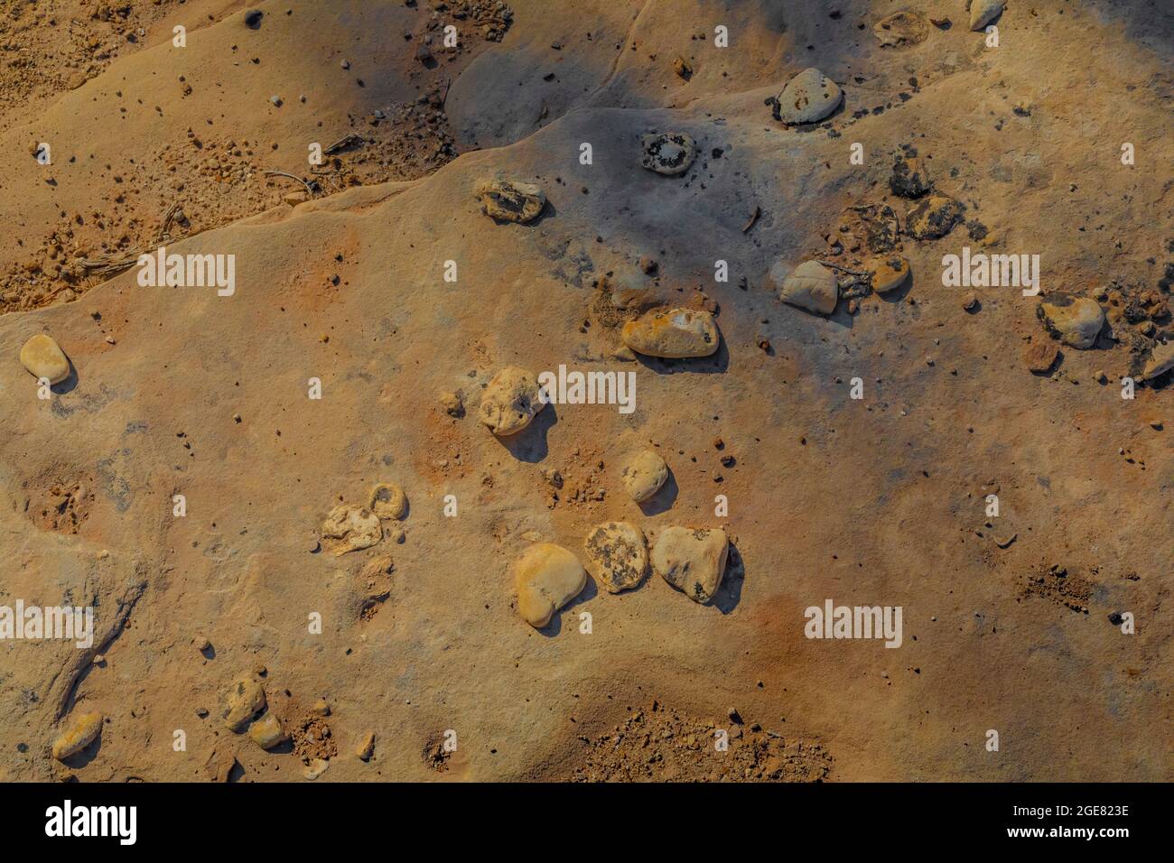 Kleine Steine, die aus einer Sandsteinmatrix in der Cutthroat Castle-Gegend des Hovenweep National Monument, Colorado, USA, erodieren Stockfoto