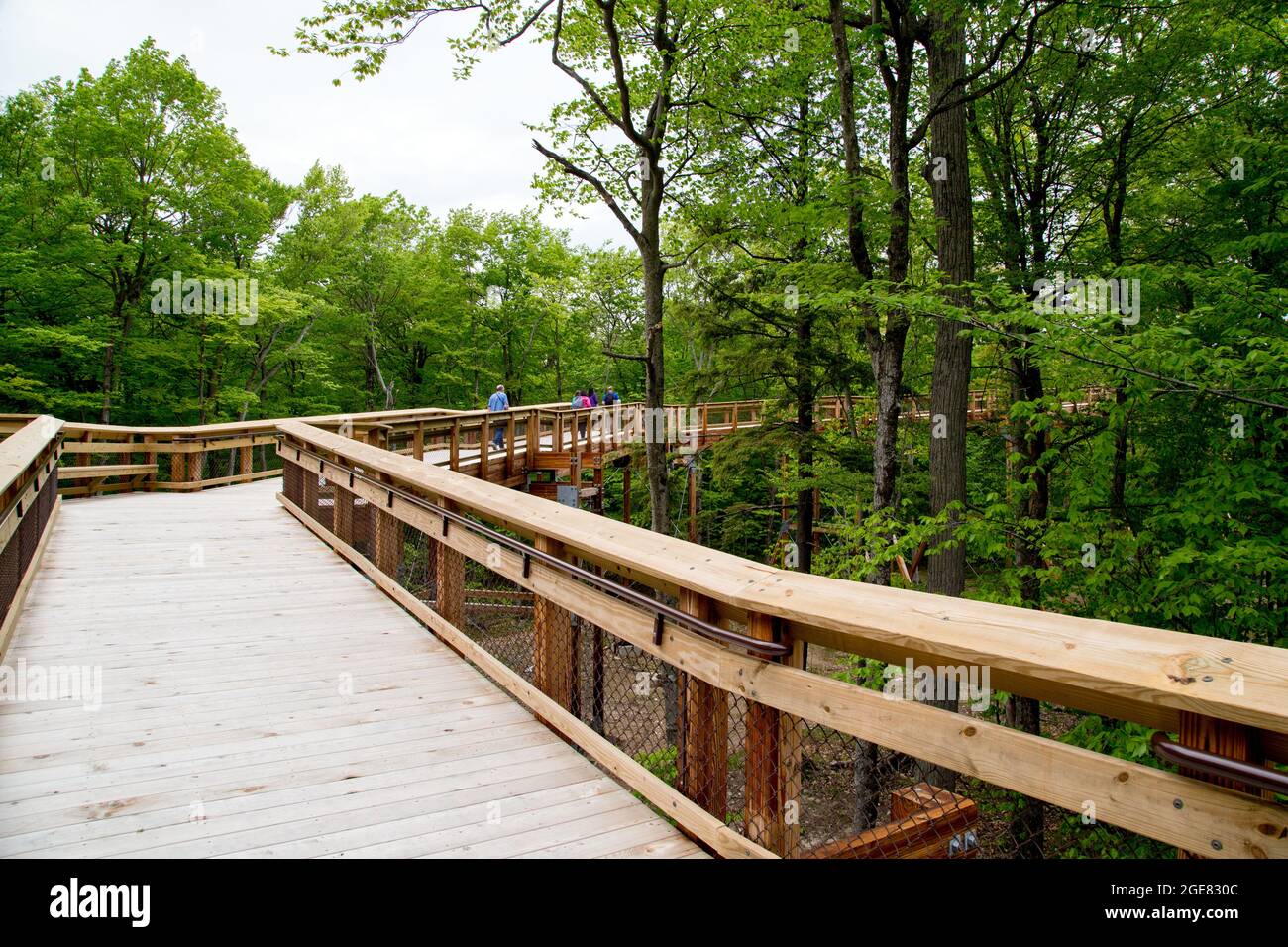 Ein begehbarer Fußweg führt zum Aussichtsturm im Peninsular Park in Door County Stockfoto