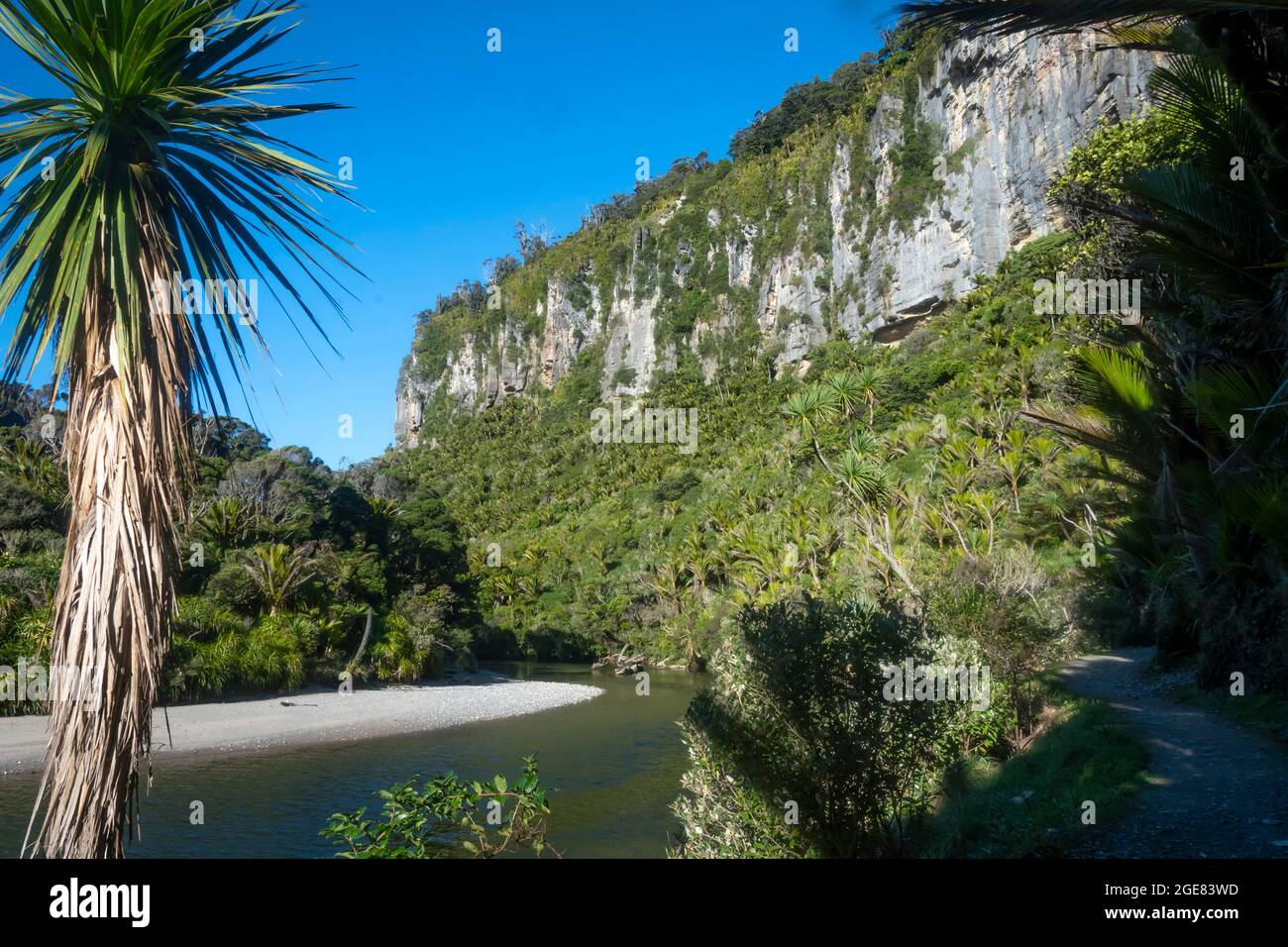 Kalksteinfelsen am Pororari River auf dem Paparoa Track (einer der Great Walks in Neuseeland), Paparoa National Park, Westküste, Südinsel, Neuseeland Stockfoto
