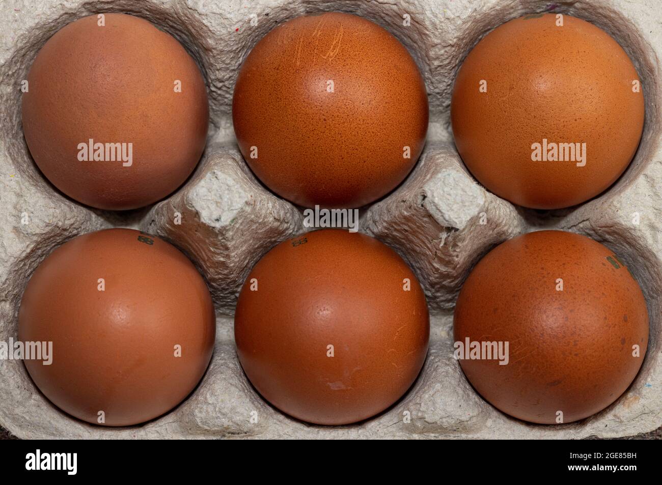 6 Maran-Eier der Klasse A mit Freilandhaltung Stockfoto