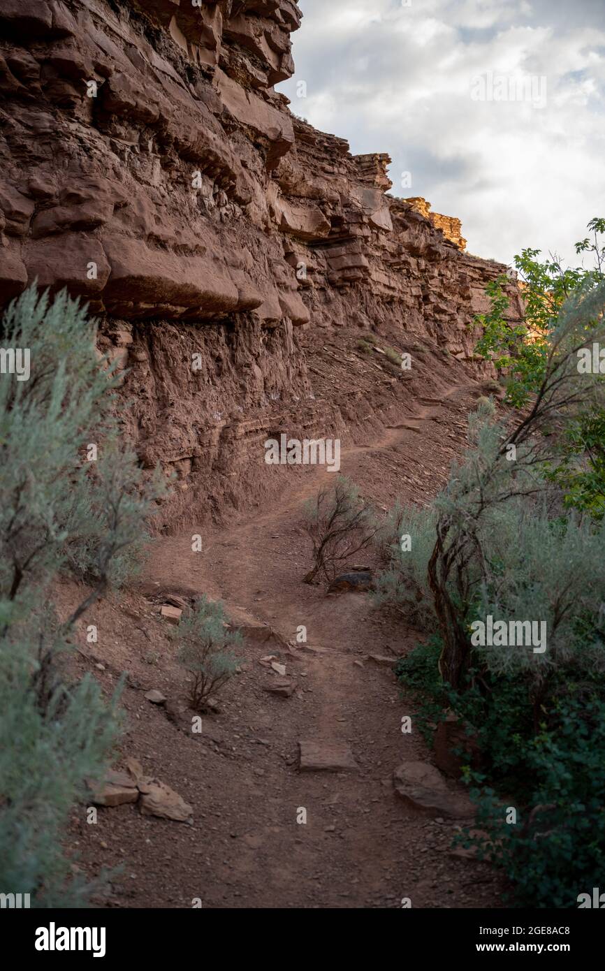 Sage Brush Flanks Trail entlang der Cliff Side im Capitol Reef National Park Stockfoto