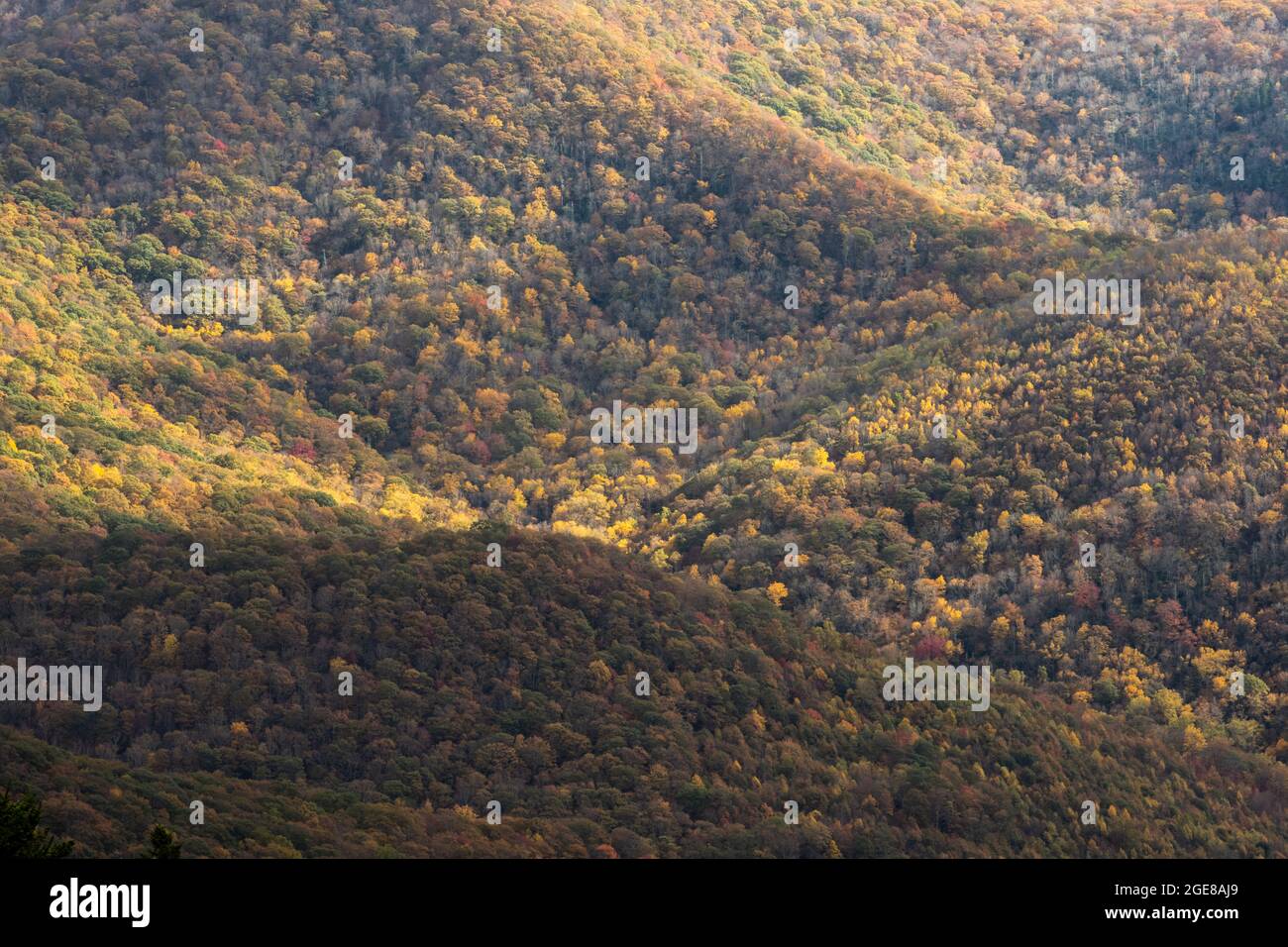Sonnenlicht tanzt über Bergkämmen entlang des Blue Ridge Parkway in North Carolina Stockfoto