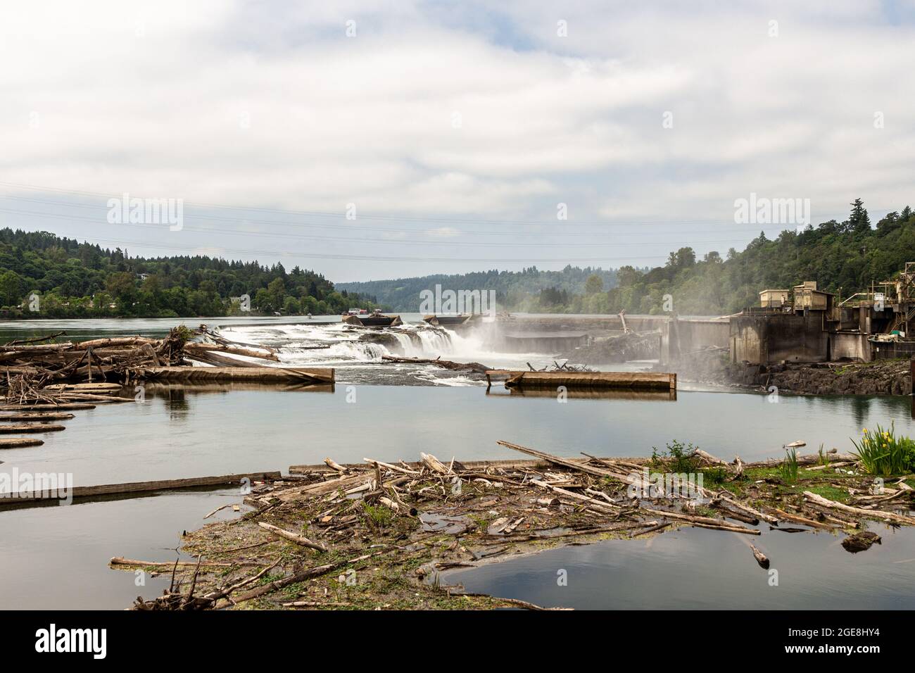 Holzschutt stürzt gegen die Willamette Falls in Oregon City Stockfoto