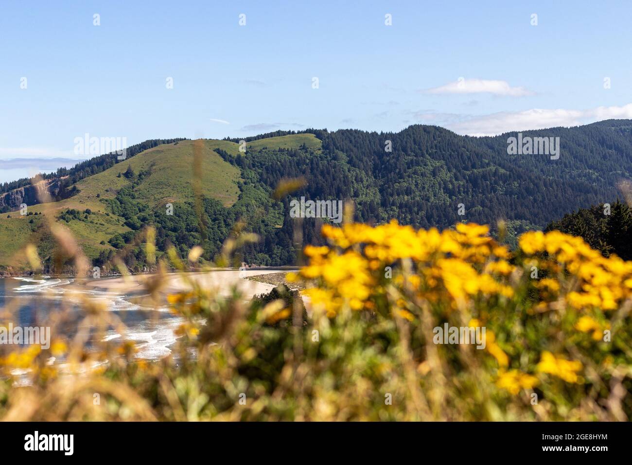 Wildblumenansicht der Küstenlinie in Lincoln City, OR Stockfoto