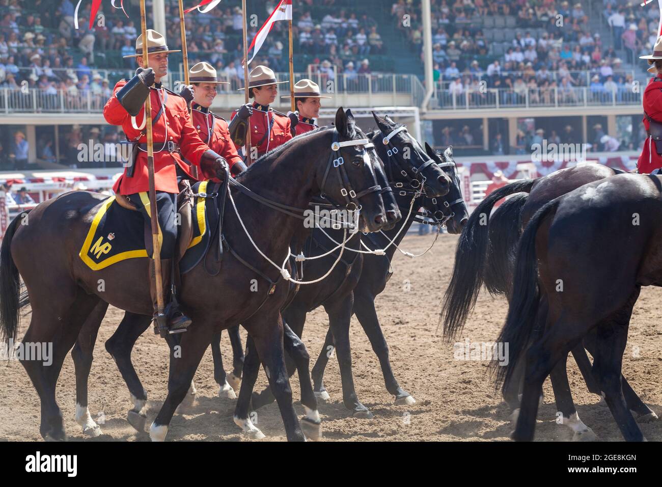 Jockeys in roter Uniform stehen bei der Hundertjahrfeier der Calgary Stampede in Alberta mit ihren Pferden auf. Stockfoto