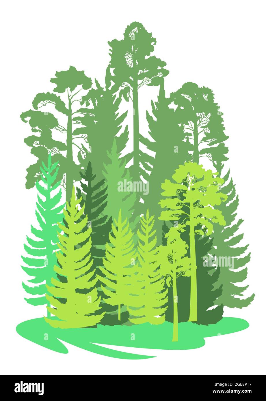 Wald Silhouette Szene. Landschaft mit Nadelbäumen. Wunderschöne grüne Aussicht. Kiefern- und Fichtenbäume. Sommer Natur. Isolierter Illustrationsvektor. Stock Vektor