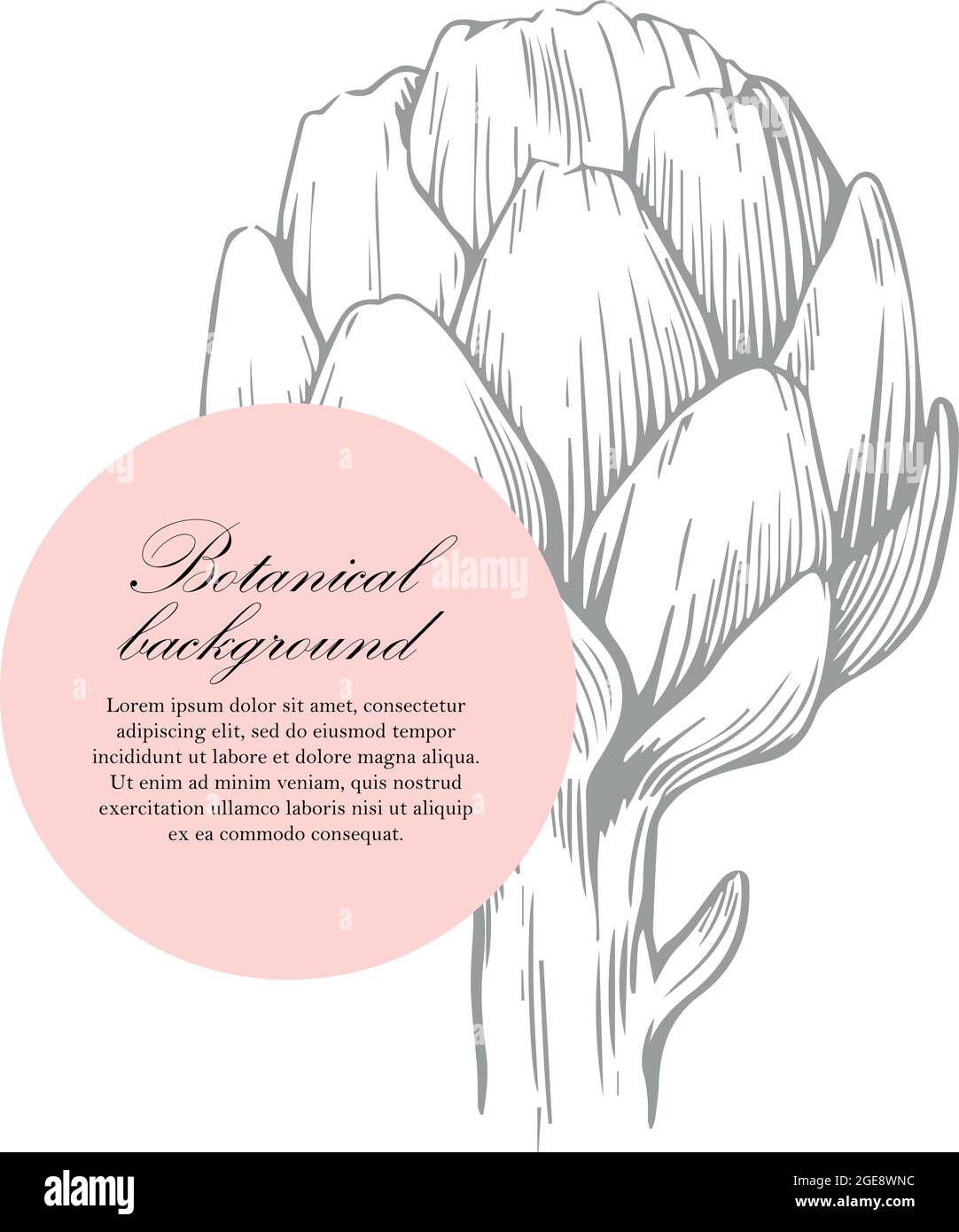 Natürlicher Hintergrund. Organische botanische Designvorlage. Handgezeichnete Vektordarstellung der Artischocke Stock Vektor