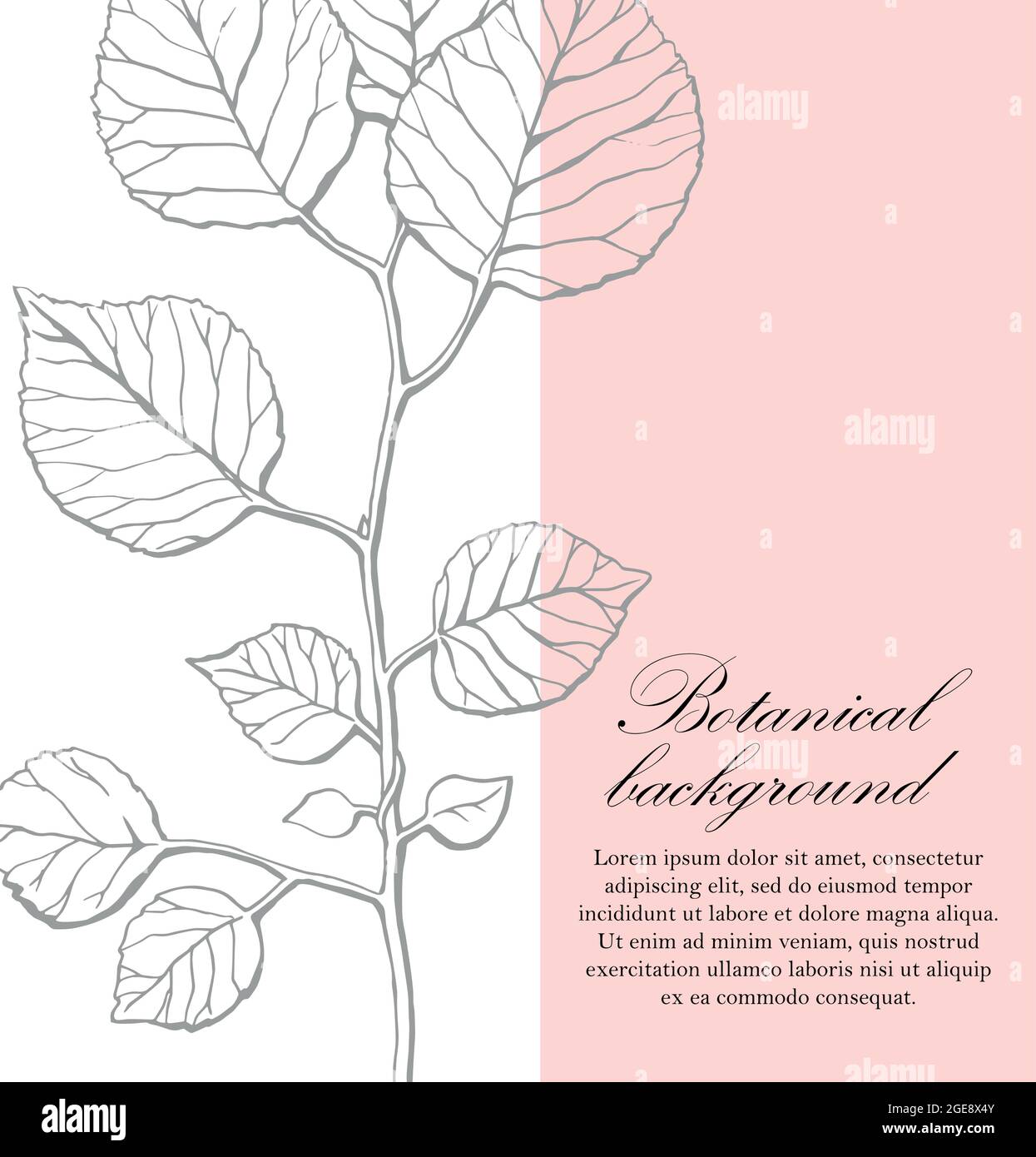 Natürlicher Hintergrund. Organische botanische Designvorlage. Handgezeichnete Vektordarstellung eines Zweiges mit Blättern Stock Vektor