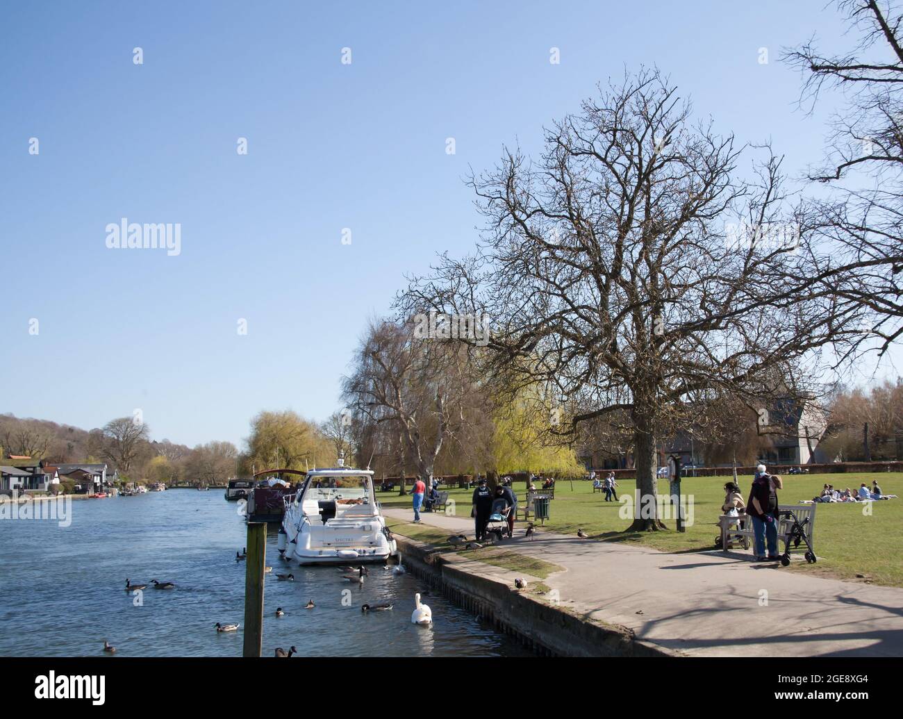 Menschen entspannen sich an der Themse in Henley auf der Themse in Oxfordshire in Großbritannien Stockfoto