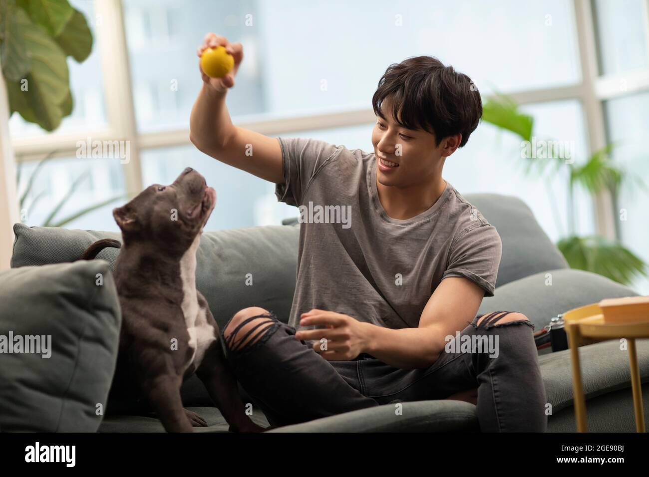 Junger Chinese mit Hund auf dem Sofa Stockfoto