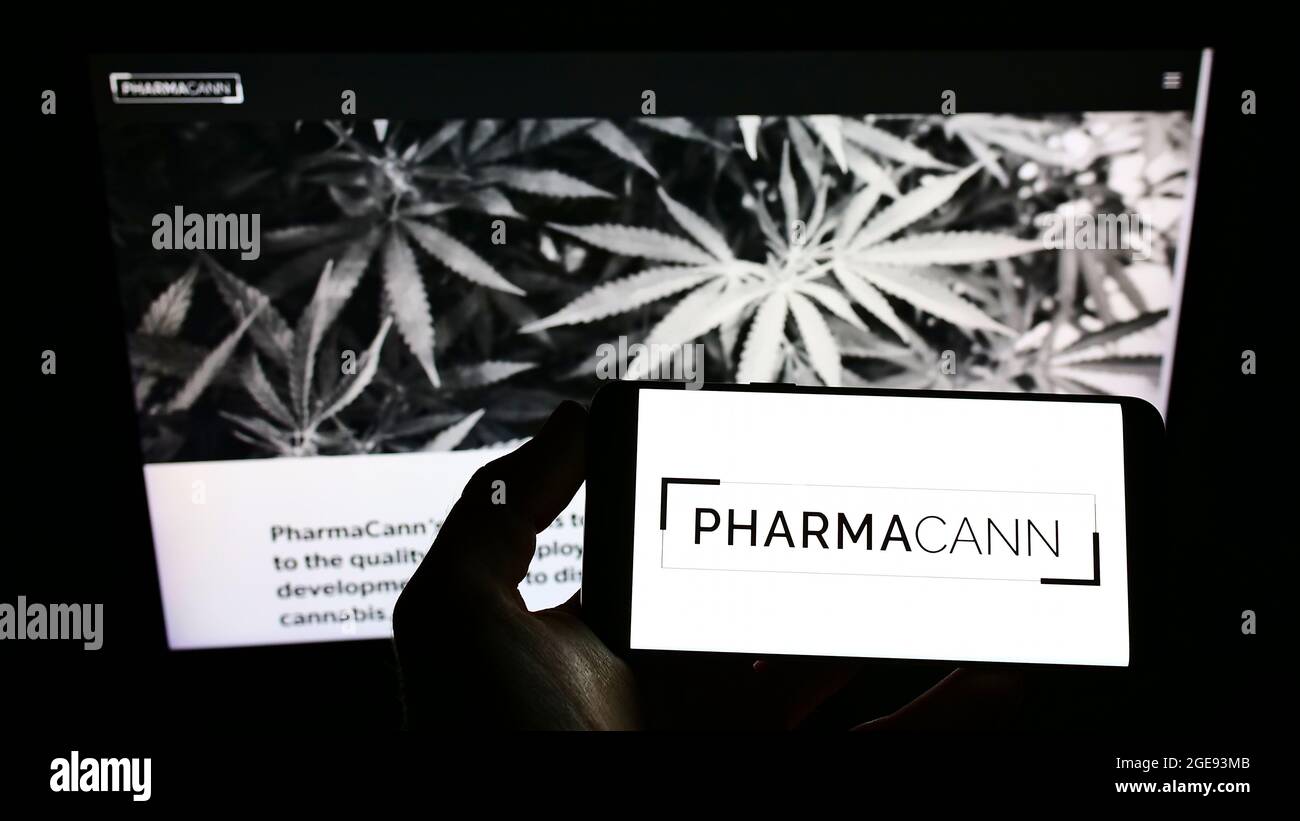 Person, die ein Mobiltelefon mit dem Logo des amerikanischen Cannabisunternehmens PharmaCann Inc. Auf dem Bildschirm vor der Unternehmenswebseite hält. Konzentrieren Sie sich auf die Telefonanzeige. Stockfoto