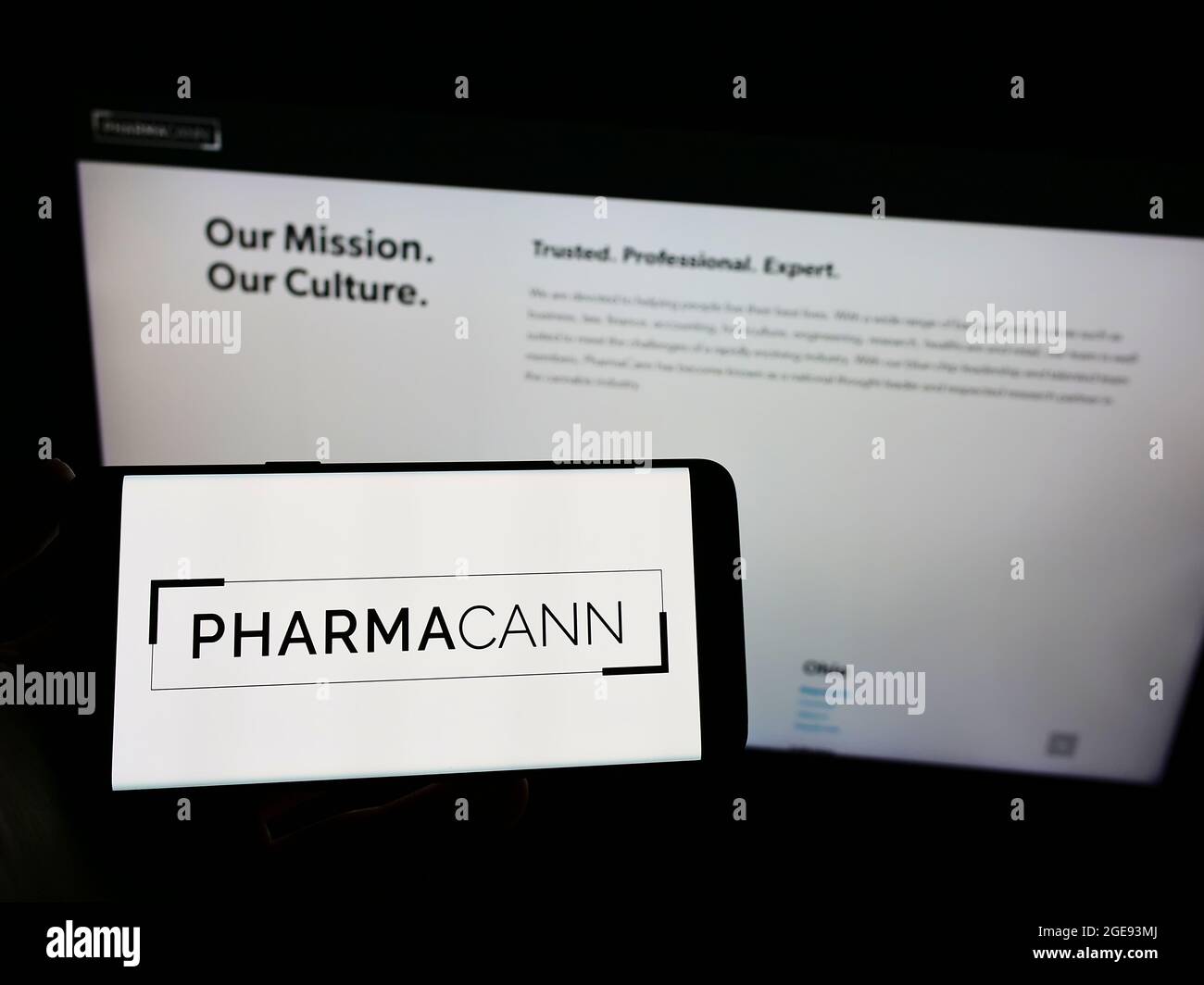 Person, die Mobiltelefon mit dem Logo des amerikanischen Cannabisunternehmens PharmaCann Inc. Auf dem Bildschirm vor der Business-Webseite hält. Konzentrieren Sie sich auf die Telefonanzeige. Stockfoto