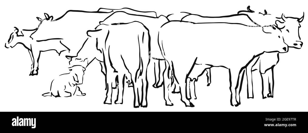 Sketcn Herde von Kühen auf Wiesenlinie handgezeichnete Vektorgrafik Stock Vektor