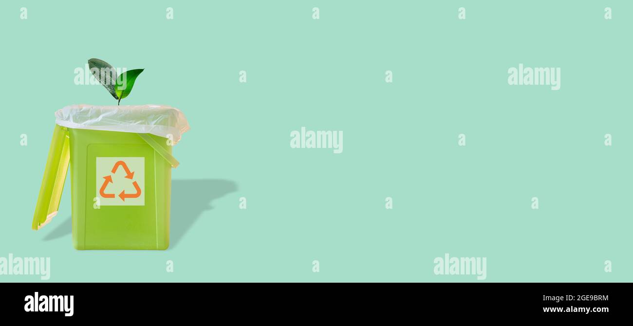 Banner mit einem grünen Abfalleimer mit Beutel im Inneren und einem wachsenden Pflanzenbaum und mit seinem Schatten- und Recycling-Symbol auf türkisfarbenem festem Hintergrund Stockfoto