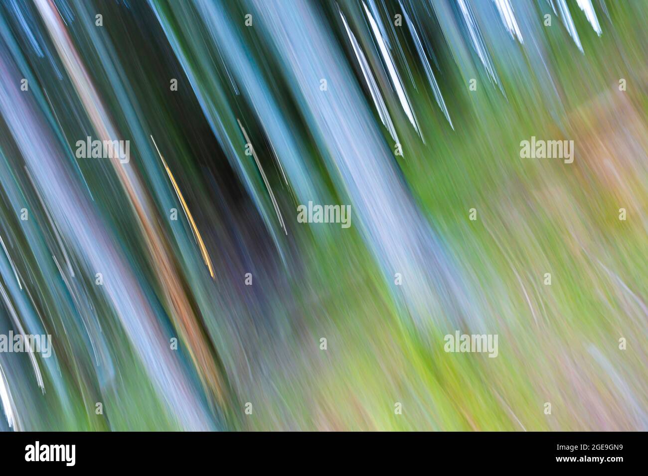 Frühling im Lake District.Abstraktes Naturfoto mit ICM-Technik erstellt.perfekt für Wandkunst drucken, Kalender oder Tapete. Stockfoto