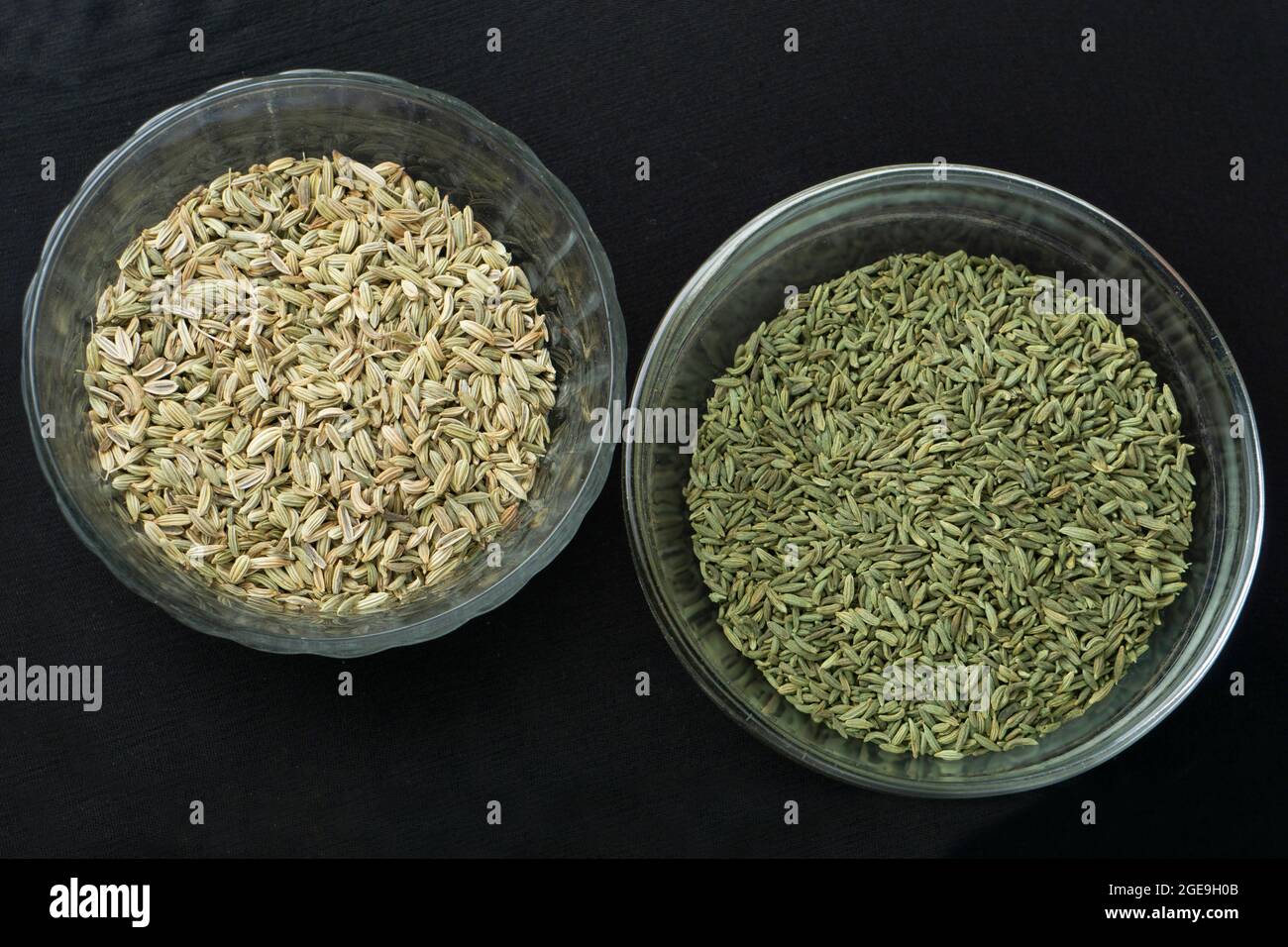 Zwei Varianten von Fenchel Seeds, Satara, Maharashtra, Indien Stockfoto