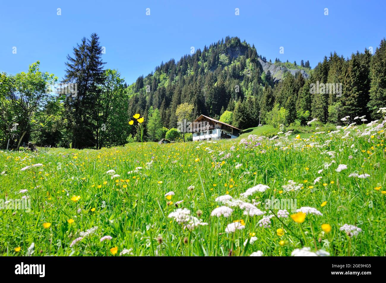 FRANKREICH, HAUTE-SAVOIE (74) NATURPARK CONTAMINES-MONTJOIE, WANDERUNG ZU DEN JOVET SEEN, NANT BORRANT BERGHÜTTE Stockfoto