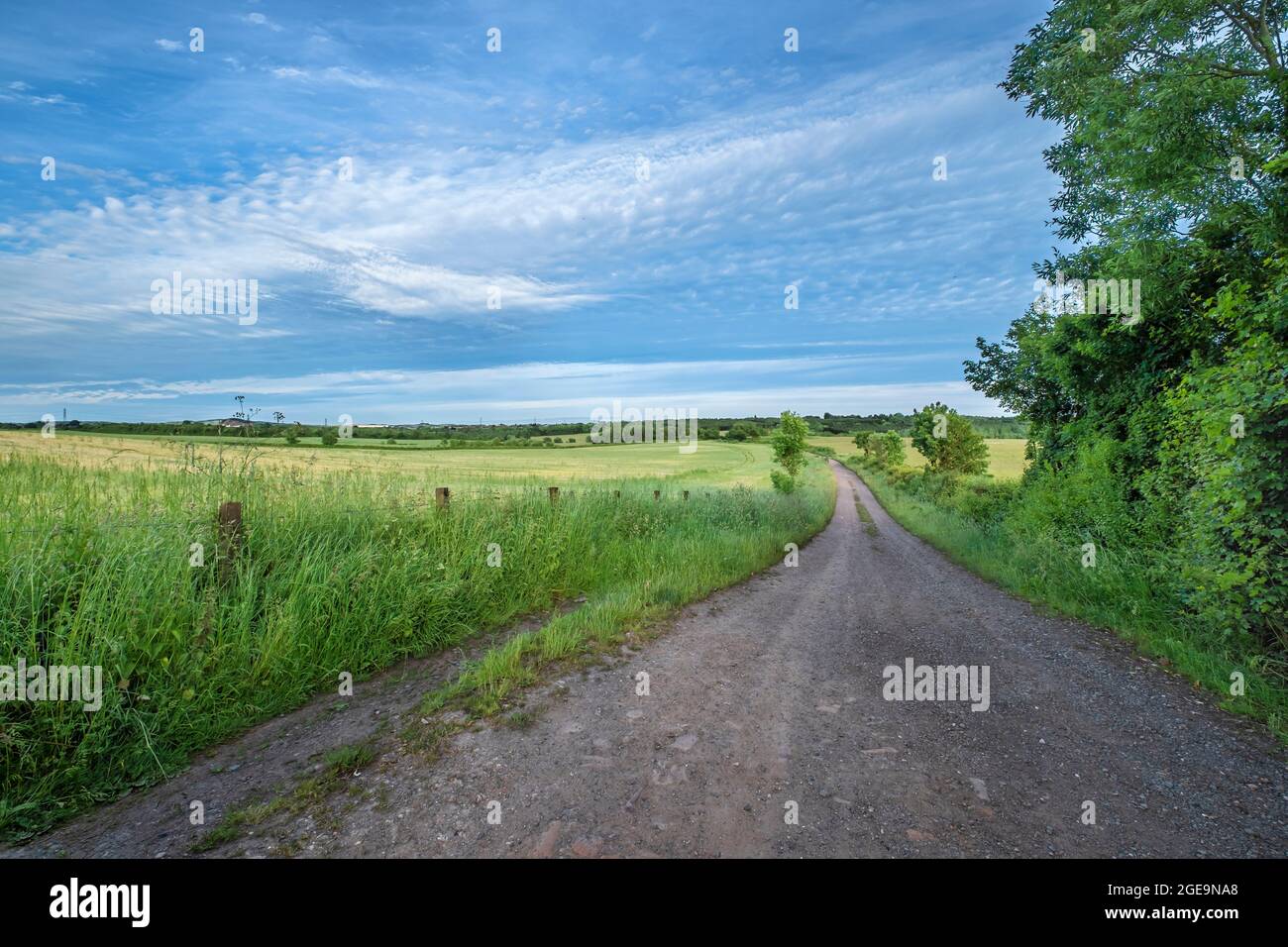 Ein Farmweg über Ackerfelder. Stockfoto