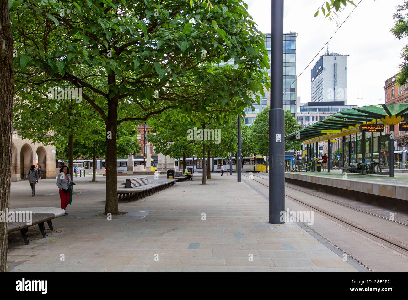 St. Peter's Square und Foxglove Trees, Manchester, Großbritannien Stockfoto