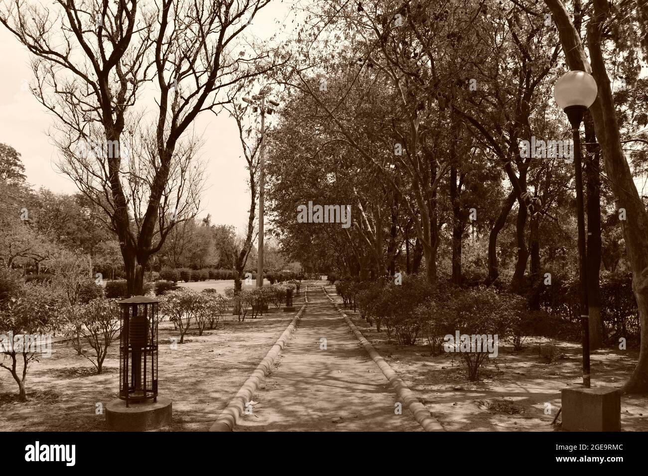 Wanderweg am Topiary Park in Panchkula, Indien. Stockfoto