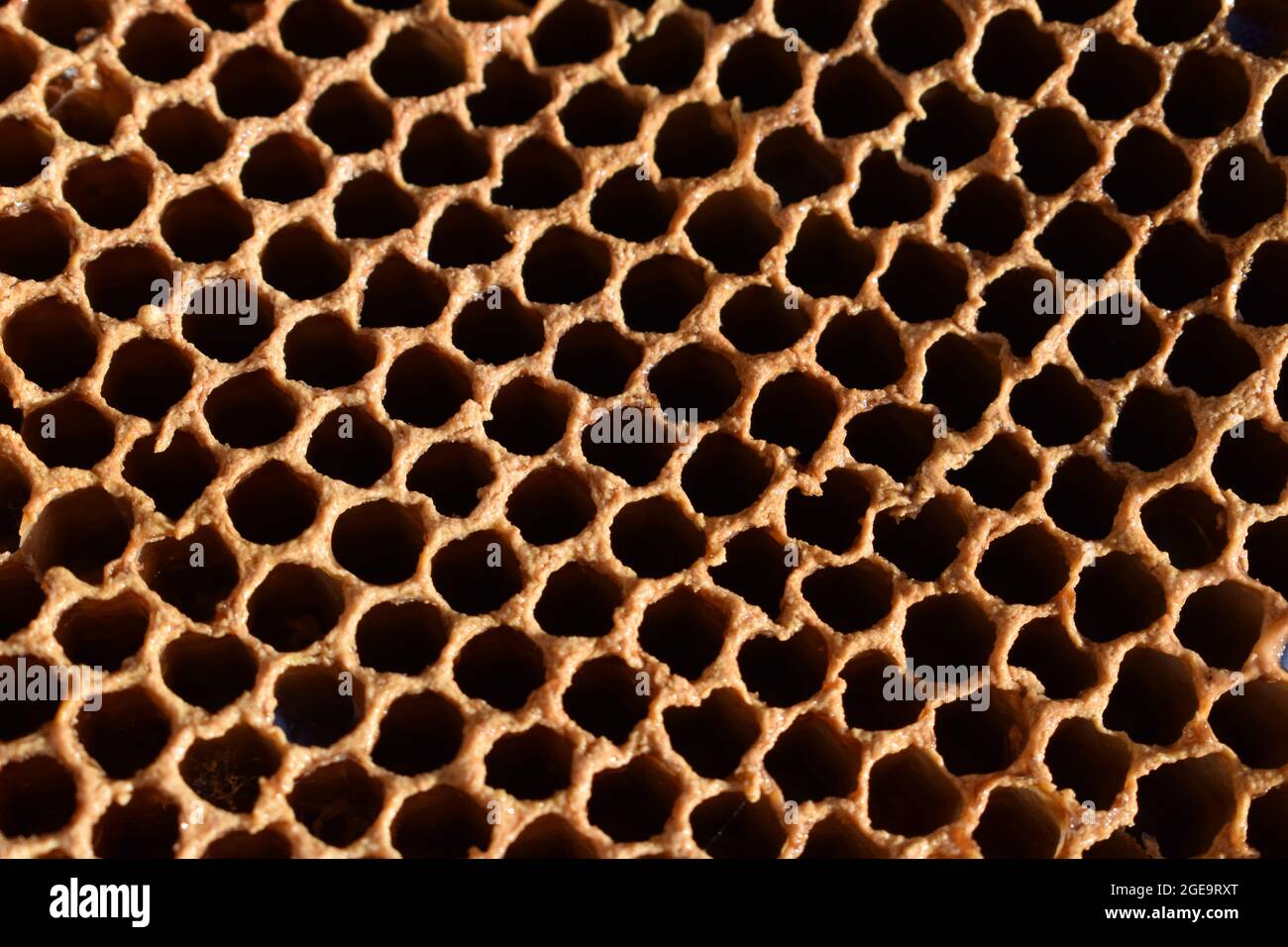 Nahaufnahme eines leeren Bienenstocks. Stockfoto