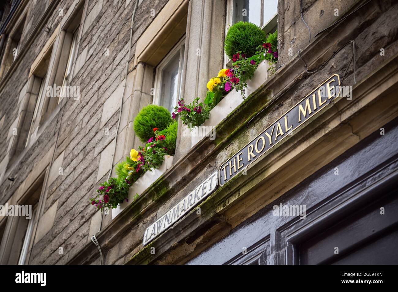 Fensterkästen an der Royal Mile von Edinburgh. Stockfoto