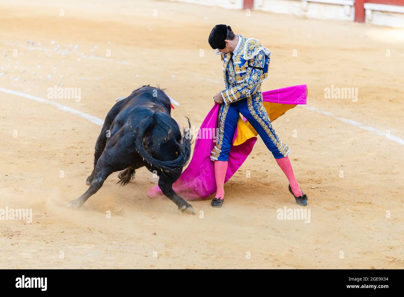 Furchtloser Toreador, der während des Corrida-Festivals capote mit Stier auf der Stierkampfarena hält Stockfoto