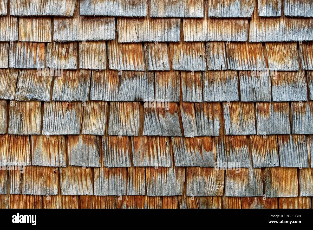 Holzschindelfassade. Altes Bauernhaus, St. Gallenkirch, Vorarlberg, Montafon, Österreich Stockfoto