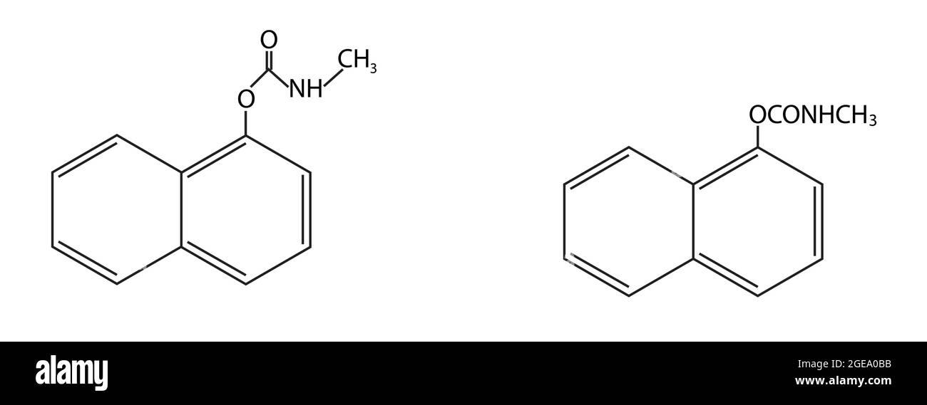 Chemische Struktur von Carbaryl, Anatomie von Carbaryl, Molekulare Struktur von Carbaryl, Chemische Formel von Carbaryl Stock Vektor